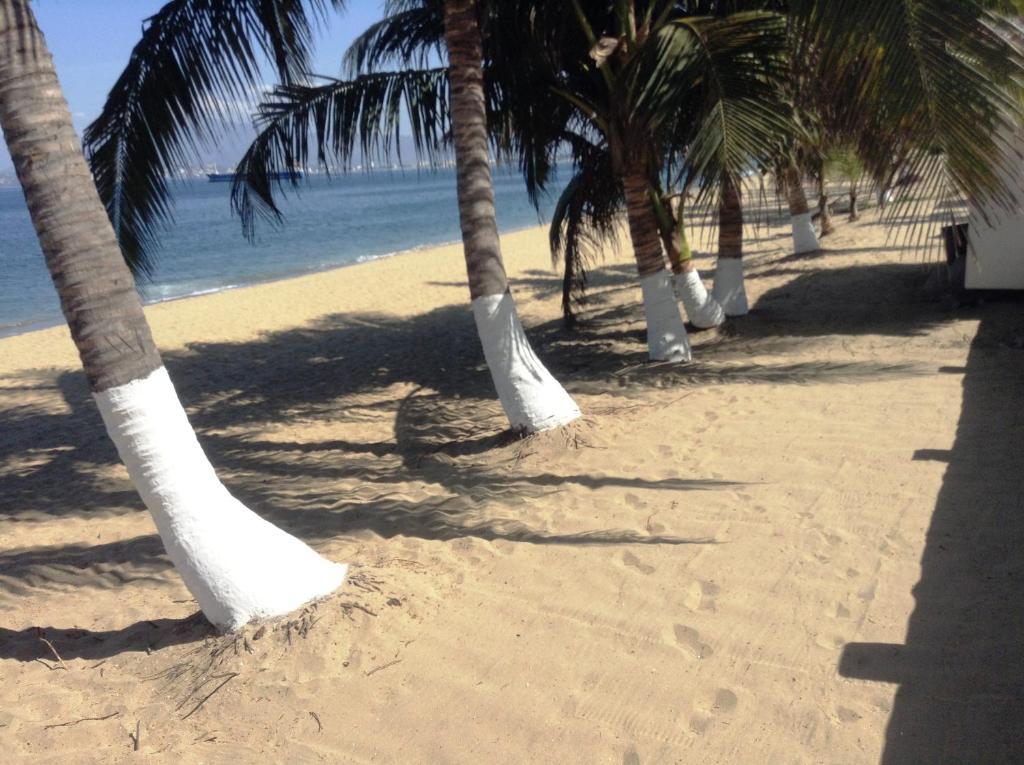 Coral Pacifico Hotel Y Villas Manzanillo Eksteriør billede